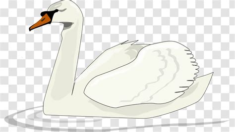 Black Swan Lake Clip Art - Cartoon Transparent PNG