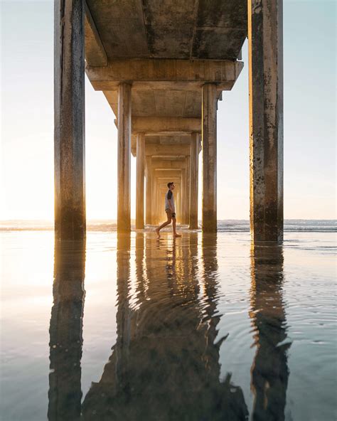 Under Scripps Pier | Explorest