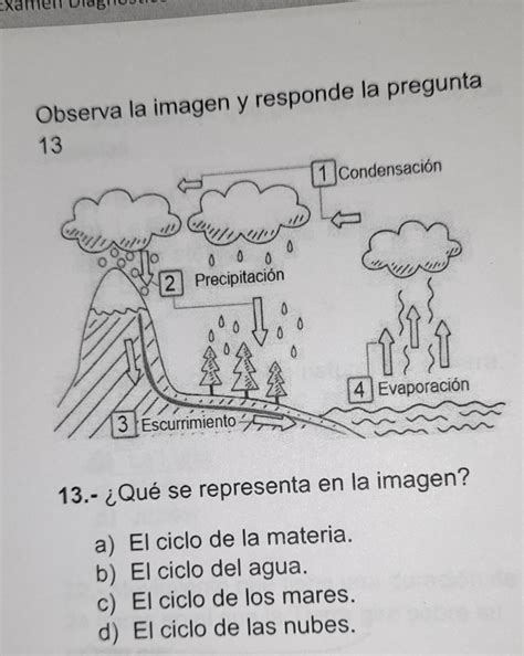 Observa La Imagen Y Responde La Pregunta El 13 Brainly Lat