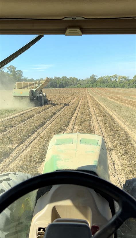 Harvesting peanuts : r/farming