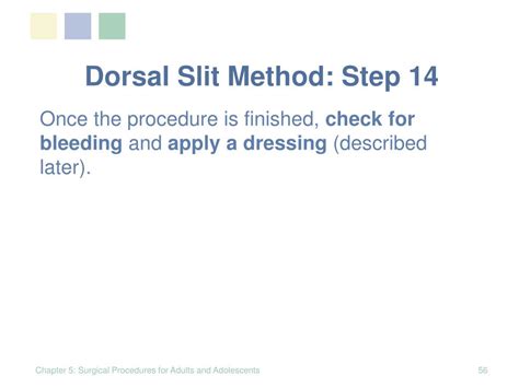 PPT - Dorsal Slit Method PowerPoint Presentation, free download - ID:972918