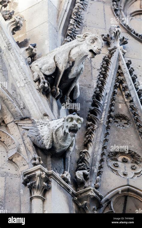 Gargoyles of Notre Dame cathedral in Paris Stock Photo - Alamy