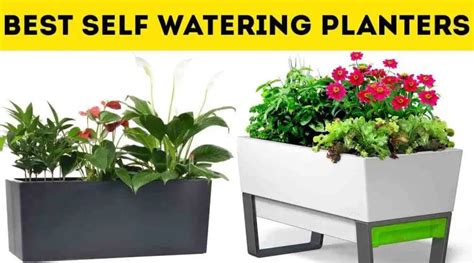 10 Best Self Watering Planters For Busy Growers That Works