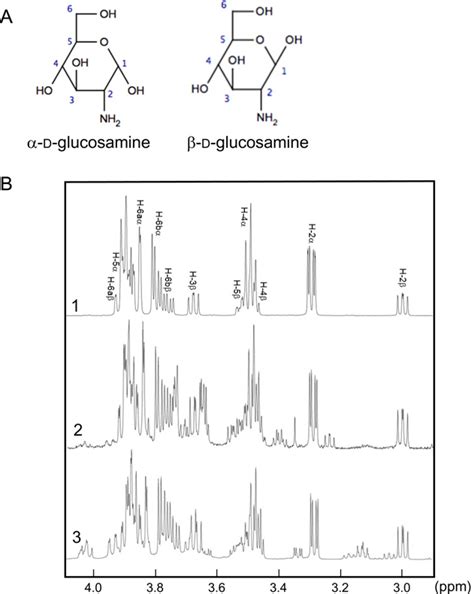 A The Chemical Structures Of α And β D Glucosamine B 1 H Nmr Download Scientific Diagram