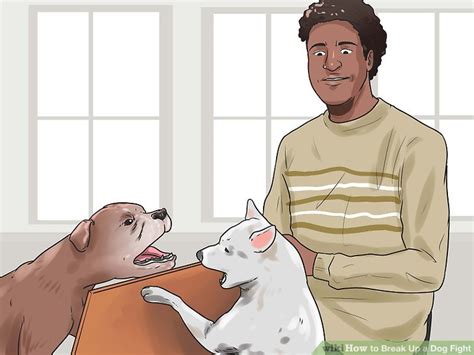 how to separate a dog fight