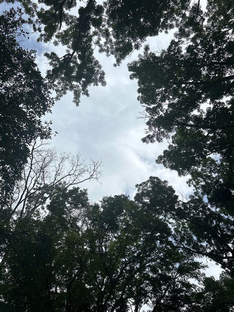 The Point at Which Someone Feels Numb After Repeated Failure | by Jj