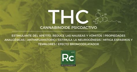 Qué es el THC Tetrahidrocannabinol y qué hace Receta Cannabis