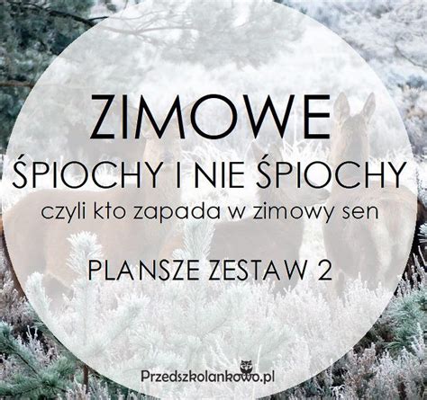 Zimowe Piochy I Nie Piochy Czyli Kto Zapada W Zimowy Sen Plansze