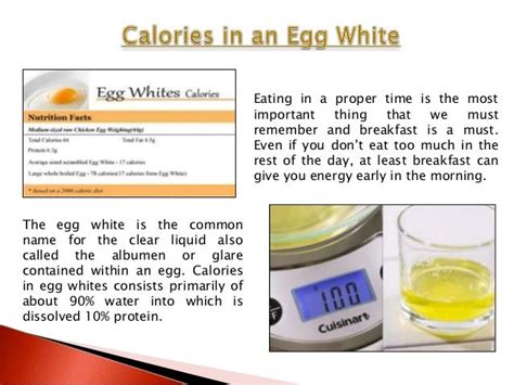 How Many Calories Are In Egg Whites