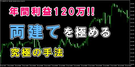 Fx究極の両建て手法 プロが使うサインツールやテクニカルを組み合わせた両建て必勝法 リスクを抑えたトレード手法 インジケーター・電子書籍