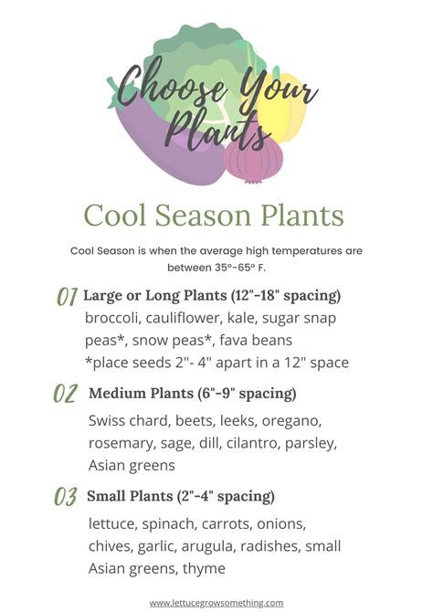 Garden Planner Journal Gardening Gifts Calendar Diary Paperback Notebook 1 Year Start Any Time Large 85 X 11 Inch Decorative Black Vintage Gifts Presents For Gardeners 6