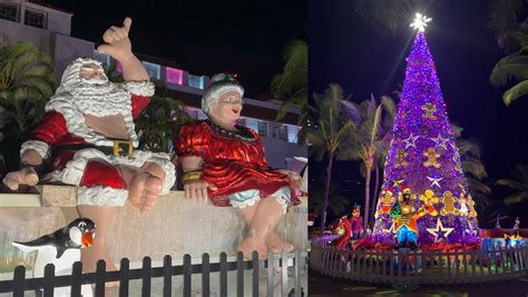 7 Best Christmas Lights on Oahu - Neighborhood Guide 2023