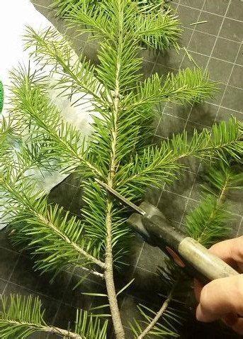 Make A Faux DIY Christmas Tree With Real Branches Diy Christmas Tree