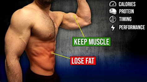 How To Lose Fat Without Gaining Muscle Braincycle1