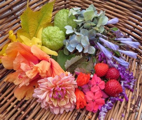 A rainbow arrangement of various plants : r/BotanicalPorn