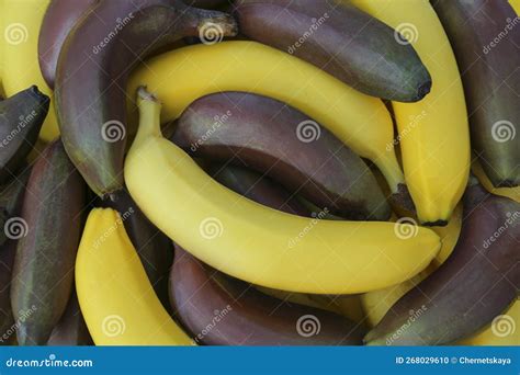 Different Types Of Bananas As Background Top View Stock Photo Image