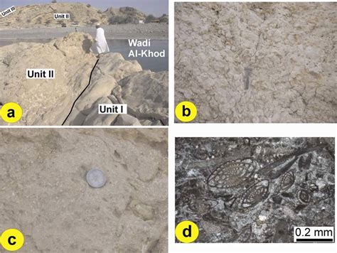 A Outcrop Exposure Showing The Sharp Contact Between Unit I And Unit