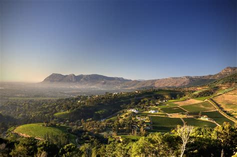 Home - Constantia Glen