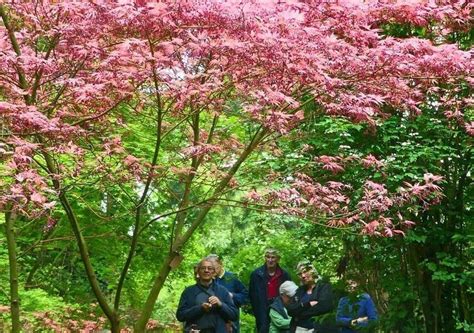 Une Porte Ouverte Pour La Rentr E De La Soci T Dhorticulture Dille