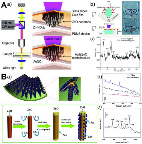 Microfluidics Enabled Sers Sensing Applications Of Zno Materials A