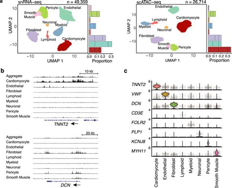 Single Cell Genomics Improves The Discovery Of Risk Variants And Genes