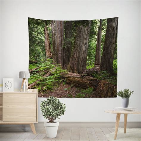 Mysterious Cedar Forest Wall Hanging, Old Growth Giant Cedars Pacific