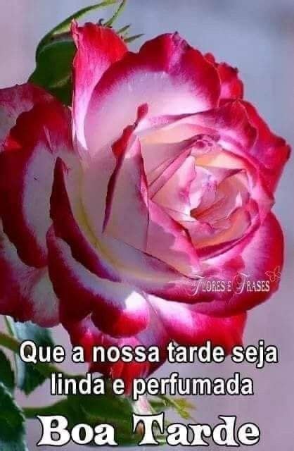 Pin Em Boa Tarde Boa Tarde Flores Mensagem D Boa Tarde Fotos De