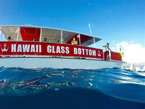 Hawaii Glass Bottom Boat - Daytime Tour - Hawaii Discount