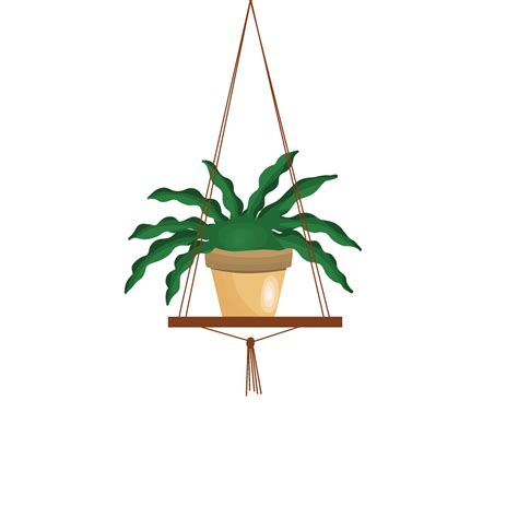 Planta Colgante Que Crece En Macetas Png