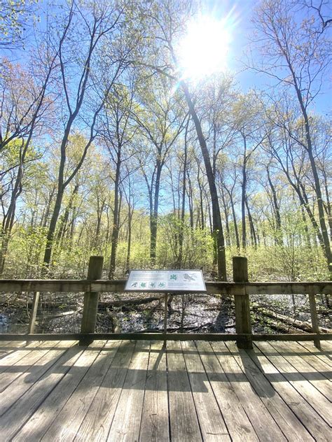 About in the Bottoms | Grand Tower, Illinois – Southern Illinois Tourism