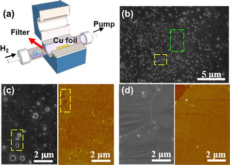 A Schematic Diagram Of LPCVD System B SEM Images Of Monolayer H BN