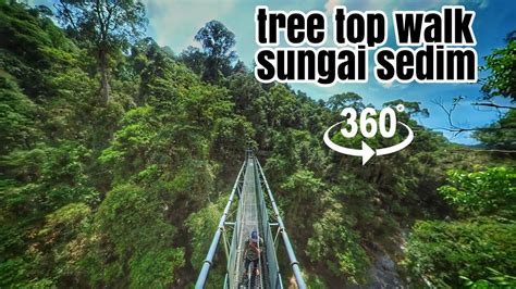 360 Degree View Tree Top Walk Sungai Sedim Move Device To Explore