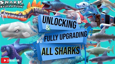 Hungry Shark Evolution Unlocking Fully Upgrading All Sharks YouTube