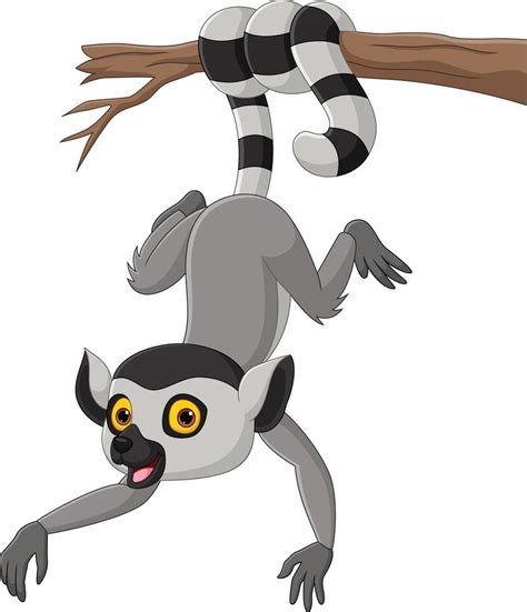 Cartoon Cute Lemur Hanging On Tree Branch 15219920 Vector Art At Vecteezy