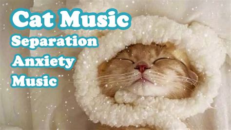 Calming Music For Cats With Anxiety Deep Soothing Music For Anxious