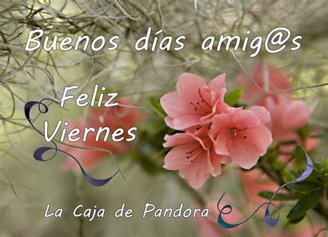 Viernes Saludos D Buenos Dias Viernes Feliz Viernes