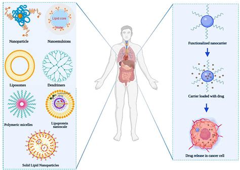 Frontiers Recent Progress On The Synergistic Antitumor Effect Of A