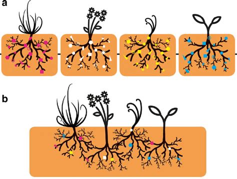 Linking Ecology And Plant Pathology To Unravel The Importance Of Soil