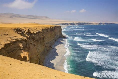 Best Paracas National Reserve Tours And Tickets Book Now