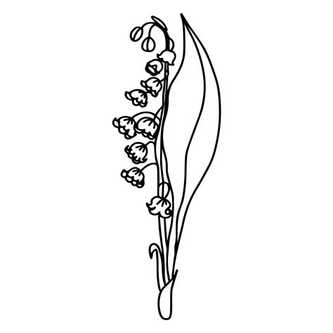 Premium Vector | A lilly of the valley