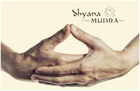 12 Powerful Mudras And Their Meanings Insight State