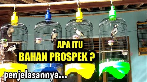 CONTOH Bahan Prospek Yg Sudah Terpantau Kualitasnya BUAT Pemula Wajib