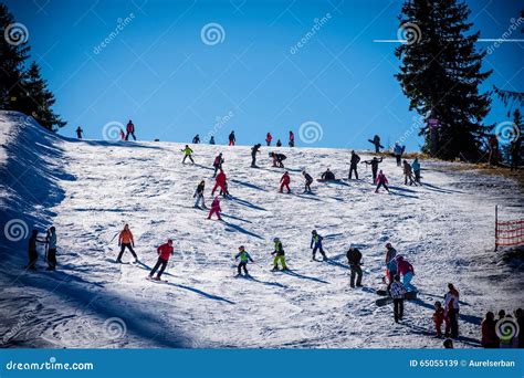 Ski Paltinis editorial stock image. Image of romania - 65055139