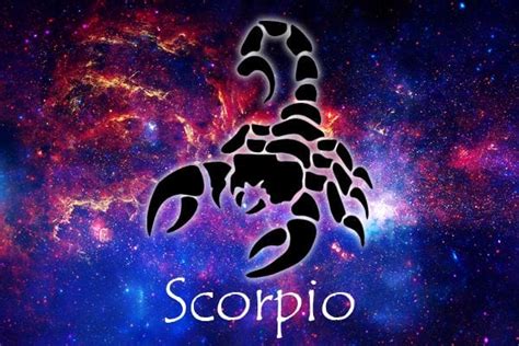 November 16 Zodiac Sign Full Horoscope And Personality