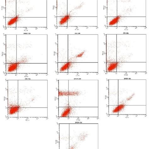 IC50 Assay Of DPCPX And CPA In MCF7 Cancer Cell Lines Cells Incubated