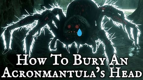 How To Bury An Acromantula S Head Into The Ground In Hogwarts Legacy