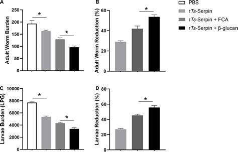 Frontiers Adjuvanticity Of Glucan For Vaccine Against Trichinella