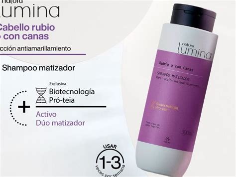 Shampoo De Henna Para Lucir Canas Con Estilo Ecologia Cotidiana