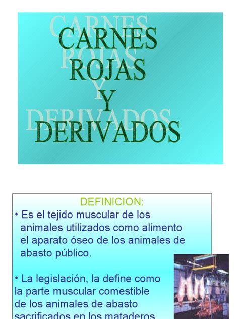 Pdf Carnes Y Derivados Dokumen Tips