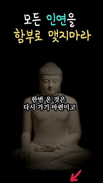 함부로 인연을 맺지마라 운명의 사람을 만나는 방법 석가모니 명언 부처님 말씀 지혜 인생조언 Youtube